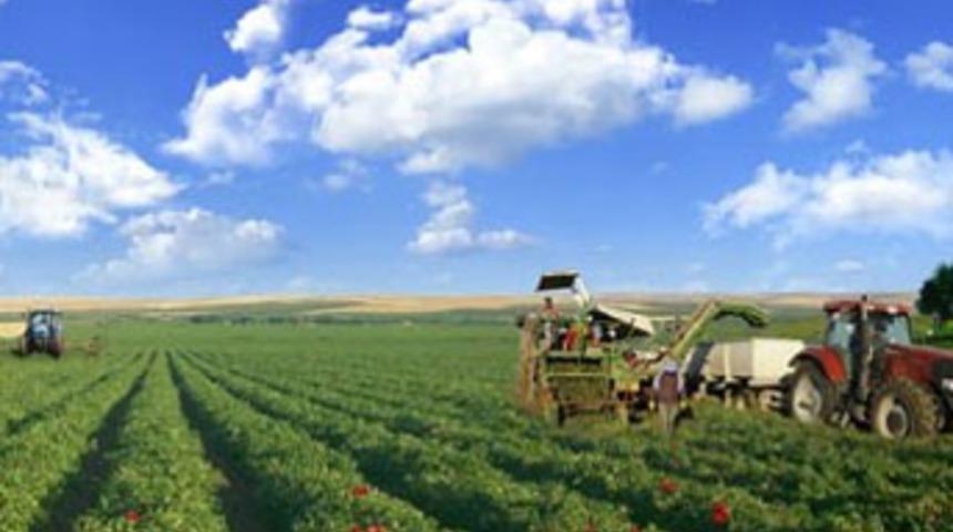Koç'tan şok karar!