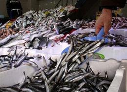 Kurban Bayramı balık fiyatlarını düşürdü