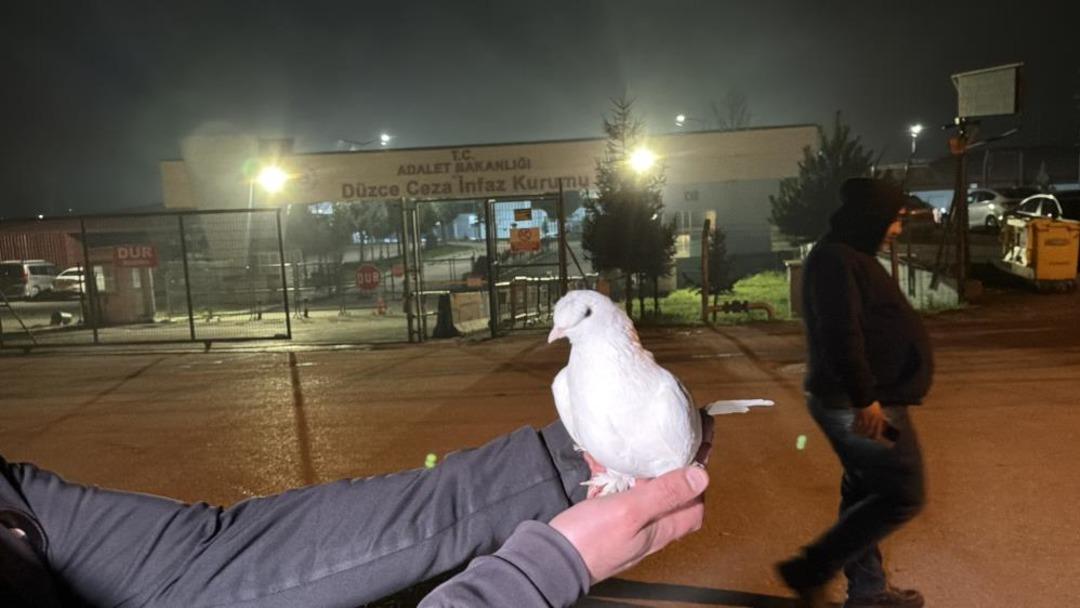 Yargı paketi resmileşti, cezaevlerinden tahliyeler başladı! Beyaz g&uuml;vercin u&ccedil;urdular 4