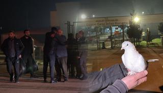 Tahliyeler başladı: Beyaz g&uuml;vercin u&ccedil;urdular