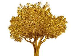 Ağaçtan altın çıkabilir