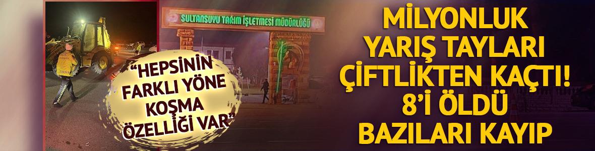 Milyonluk yarış tayları &ccedil;iftlikten ka&ccedil;tı: Ekipler seferber oldu