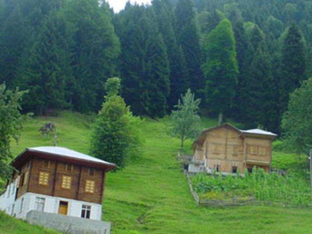 Bu evler kapış kapış!