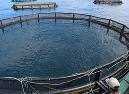 Bu bölümü bitiren 7 bin dolar maaş alıyor!