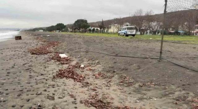 Samsun&rsquo;da sahile vuran sandık incelemeye alındı 1