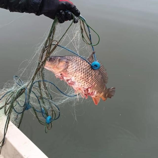 Bolu&rsquo;da g&ouml;l&uuml;n ortasında 500 metrelik ka&ccedil;ak ağ ele ge&ccedil;irildi 1