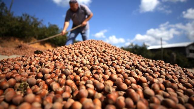 Türk fındığı Hindistan'da tüketicilerle buluşturuldu
