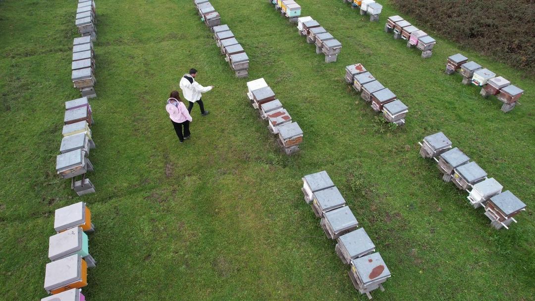 Devlet desteği aldılar şimdi d&uuml;nyanın en iyisini &uuml;retiyorlar 2