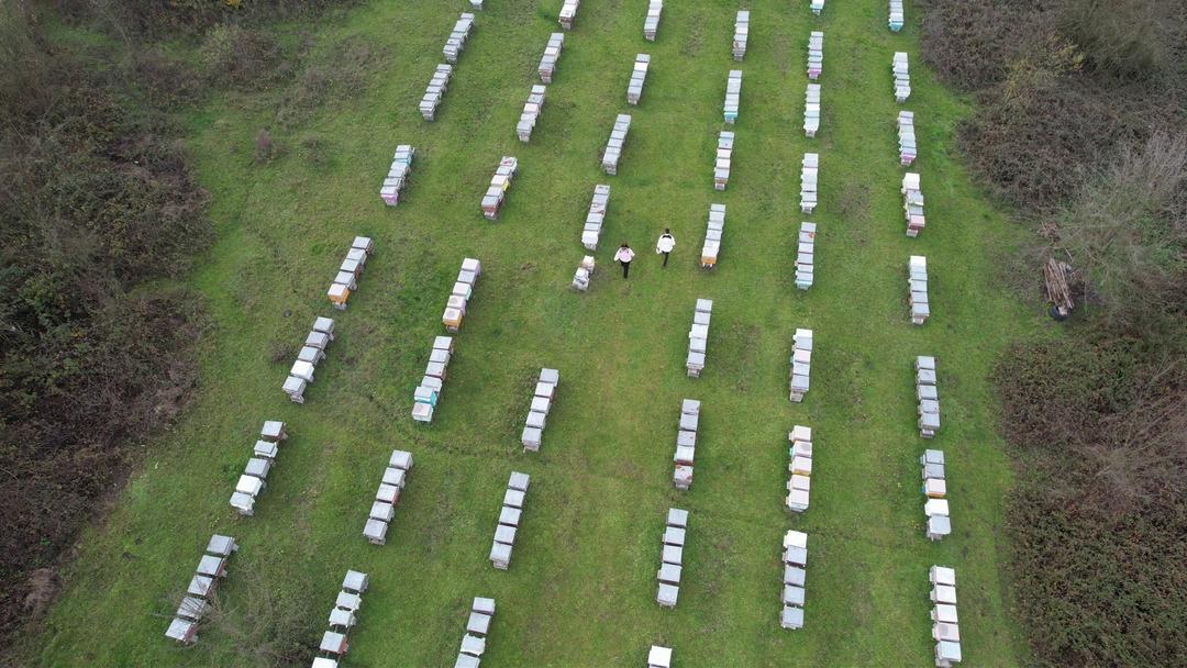 Devlet desteği aldılar şimdi d&uuml;nyanın en iyisini &uuml;retiyorlar 3