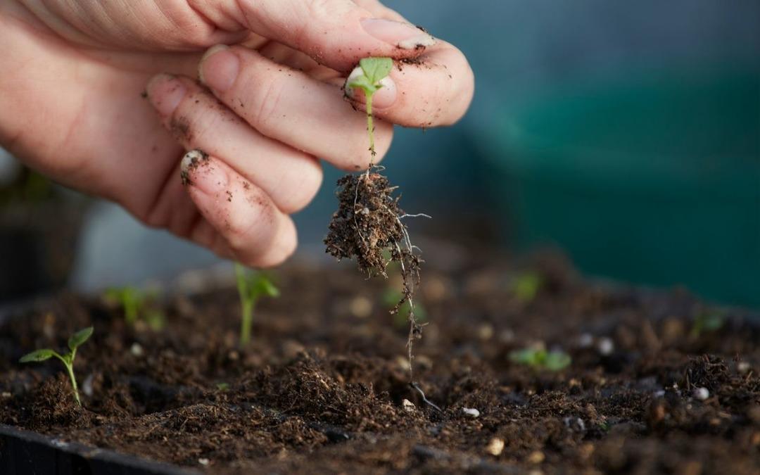 Fide sekt&ouml;r&uuml;ne y&ouml;nelik rekabet soruşturması başlatıldı 1