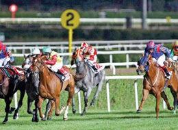 At yarışları özelleştiriliyor