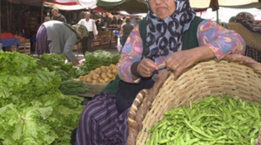 Zam şampiyonu taze fasulye