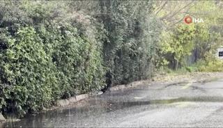 İstanbul&rsquo;da kar yağışı başladı!