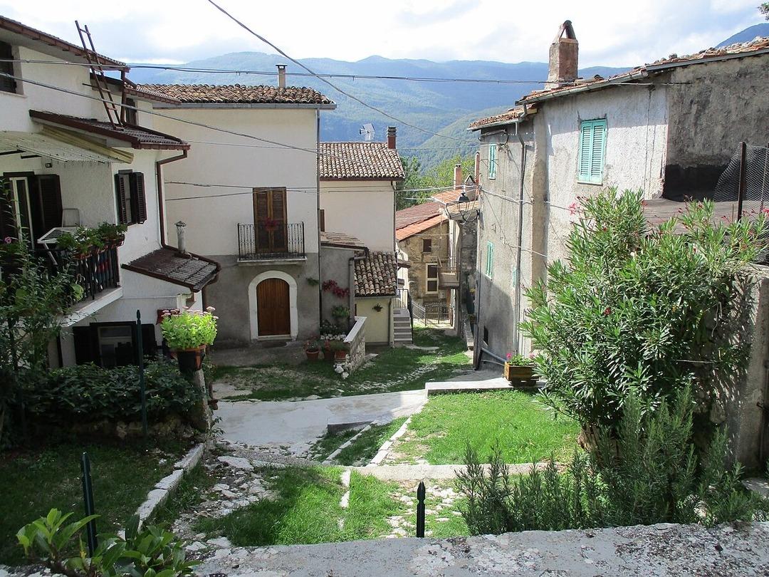 Burada kediler insanlardan fazla! 30 yıl sonra ilk kez bebek doğdu 1