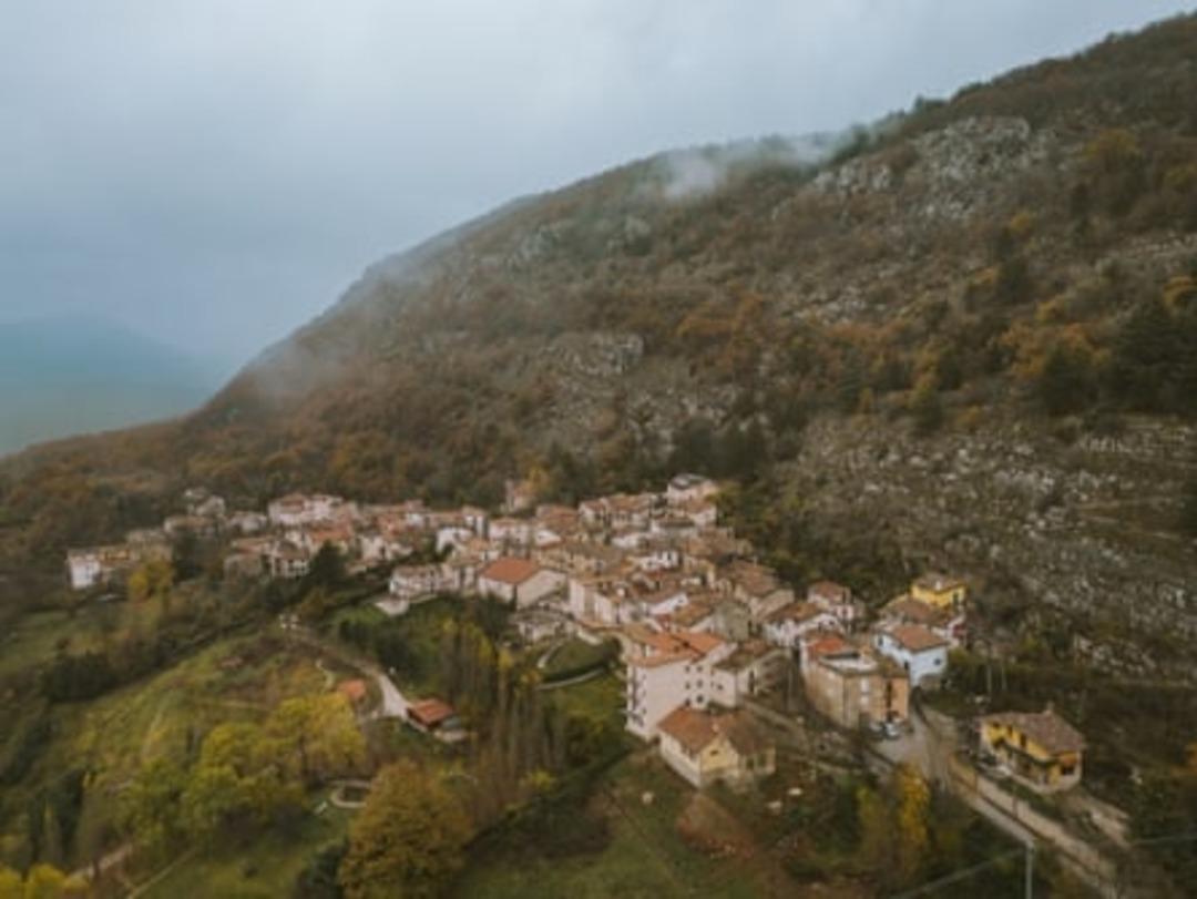 Burada kediler insanlardan fazla! 30 yıl sonra ilk kez bebek doğdu 2