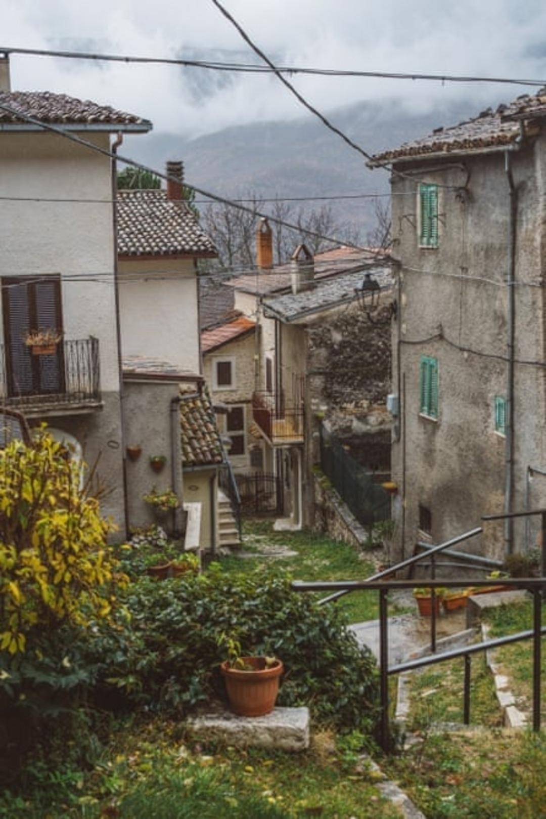 Burada kediler insanlardan fazla! 30 yıl sonra ilk kez bebek doğdu 3