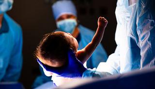 Burada kediler insanlardan fazla! 30 yıl sonra ilk kez bebek doğdu