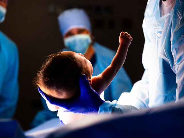 Burada kediler insanlardan fazla! 30 yıl sonra ilk kez bebek doğdu