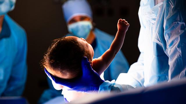 Burada kediler insanlardan fazla! 30 yıl sonra ilk kez bebek doğdu