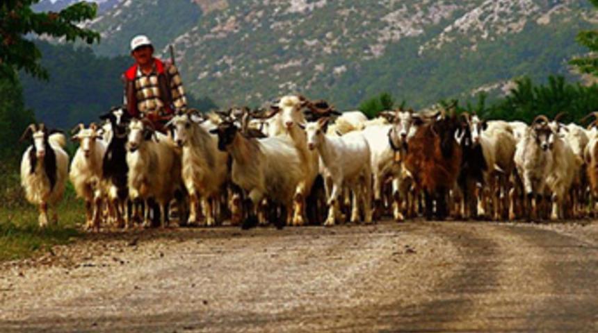 Yıllık geliri 50 bin lira ama çalışan yok
