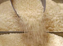 TMO’nun pirinci 2.90 TL