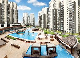 Innovia’da Hemen Teslim Dairler Satışta