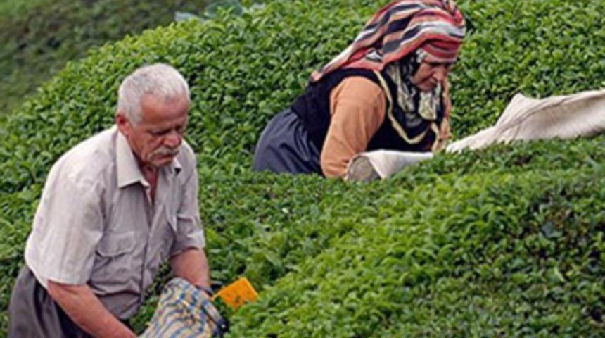 Çaykur ve GNC Türkiye arasında iş birliği