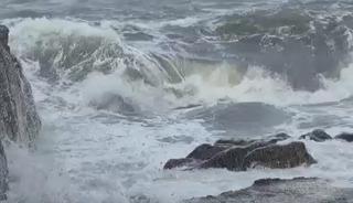 Zonguldak'ta kuvvetli r&uuml;zgar; 90 yaşındaki &ccedil;ınar ağacı devrildi
