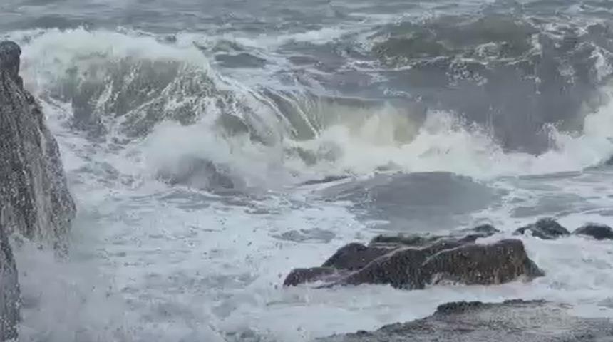 Zonguldak'ta kuvvetli r&uuml;zgar; 90 yaşındaki &ccedil;ınar ağacı devrildi