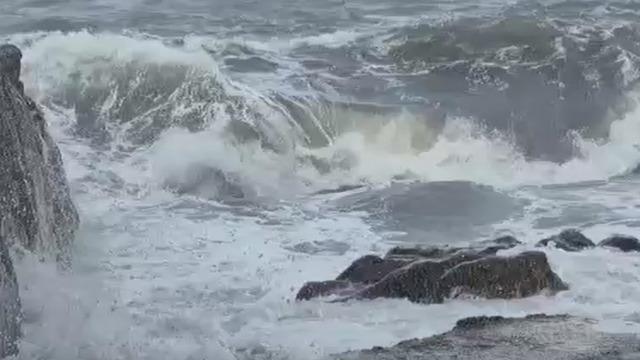 Zonguldak'ta kuvvetli rüzgar; 90 yaşındaki çınar ağacı devrildi