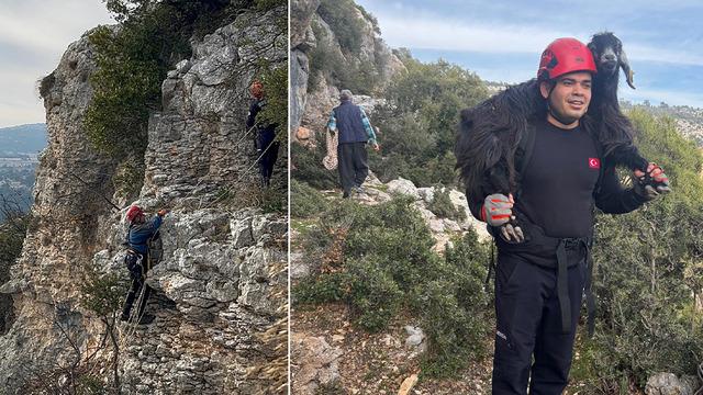 Mersin'de uçurumdaki kayalıklarda mahsur kalan 2 keçi kurtarıldı