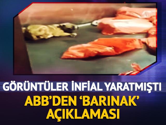 G&ouml;r&uuml;nt&uuml;ler infial yaratmıştı! Ankara B&uuml;y&uuml;kşehir Belediyesi'nden 'barınak' a&ccedil;ıklaması
