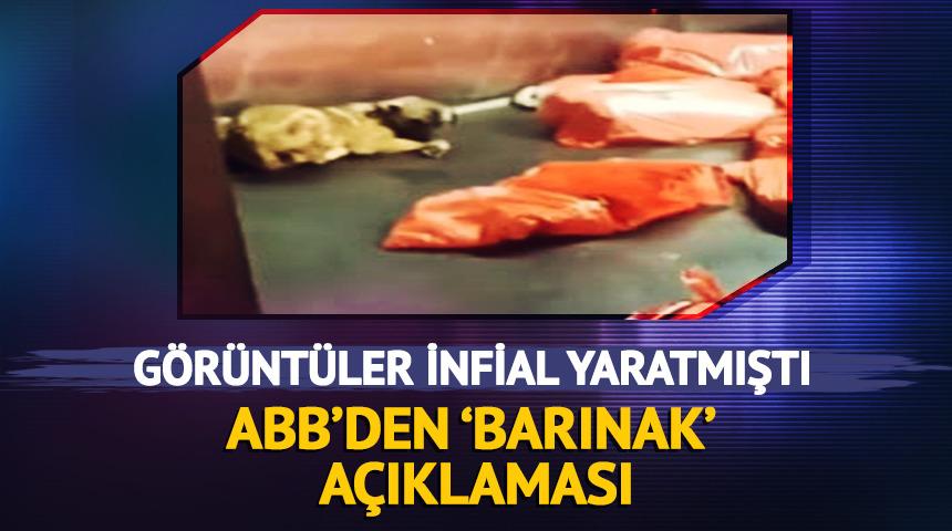 G&ouml;r&uuml;nt&uuml;ler infial yaratmıştı! ABB'den 'barınak' a&ccedil;ıklaması
