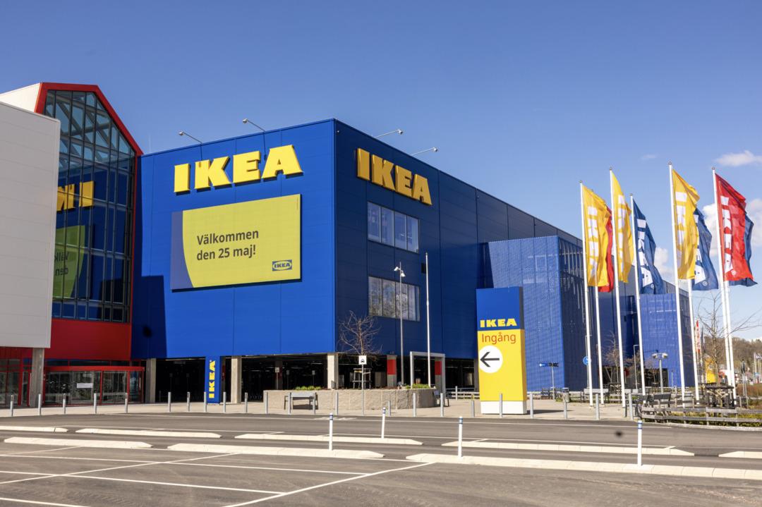 Küçük Bir Dükkandan Global Bir Markaya: Hikayesiyle İlham Veren Girişimler, 4