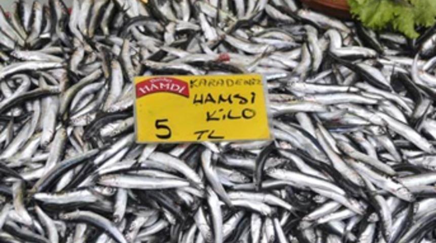 Hamsinin fiyatı yarıya düştü