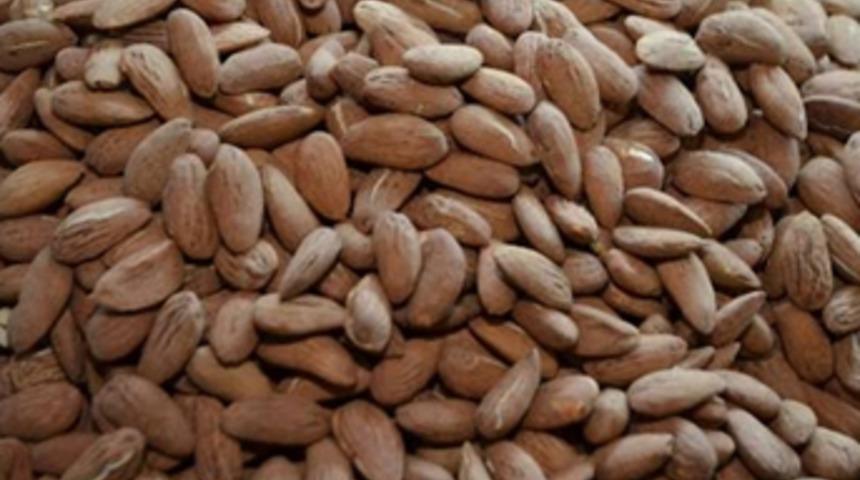 Fiyatı altını solladı