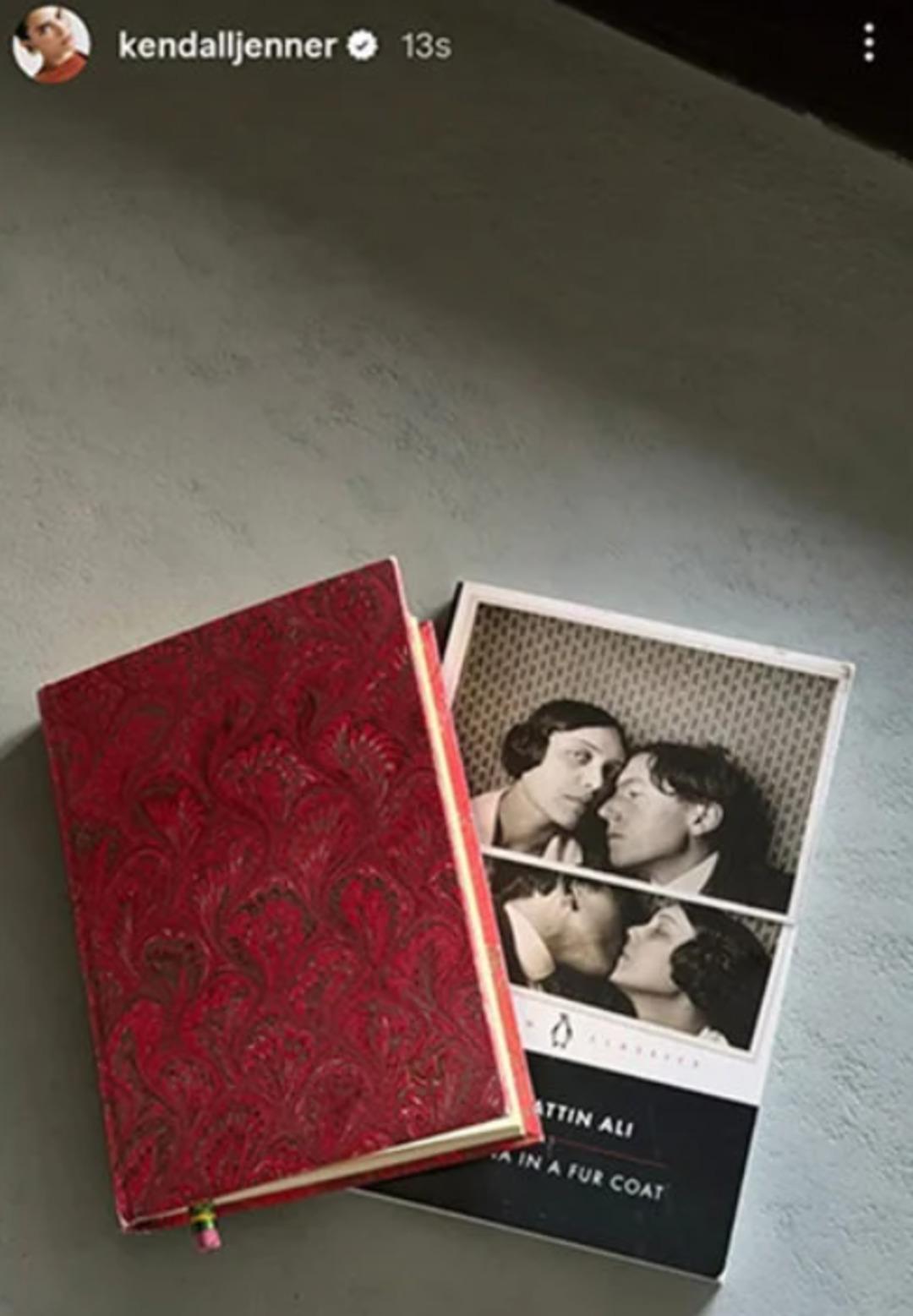 Kendall Jenner K&uuml;rk Mantolu Madonna paylaşımı! K&uuml;rk Mantolu Madonna konusu? 1