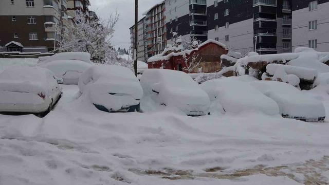 Bitlis’te arabalar ve tek katlı evler kara gömüldü