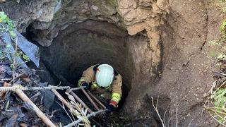 Kırkağaç’ta kuyuya düşen köpek itfaiye ekiplerince kurtarıldı