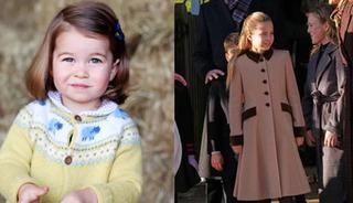 T&uuml;m ailenin en pop&uuml;leri oldu: Fotoğraf &ccedil;ektirmek i&ccedil;in yarıştılar