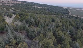 Keskin Belediyesi'ne soruşturma! Tam 1 milyon 220 bin metrekare: Kesinlikle affı yok