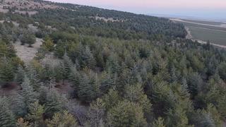 Keskin Belediyesi'ne soruşturma! Tam 1 milyon 220 bin metrekare: Kesinlikle affı yok