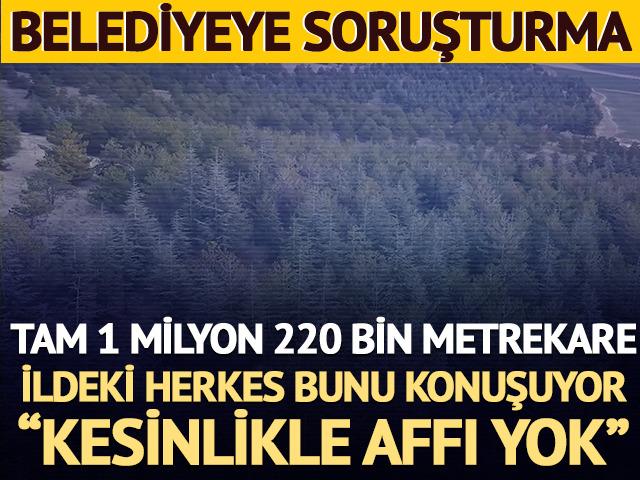 Keskin Belediyesi'ne soruşturma! Tam 1 milyon 220 bin metrekare: Kesinlikle affı yok