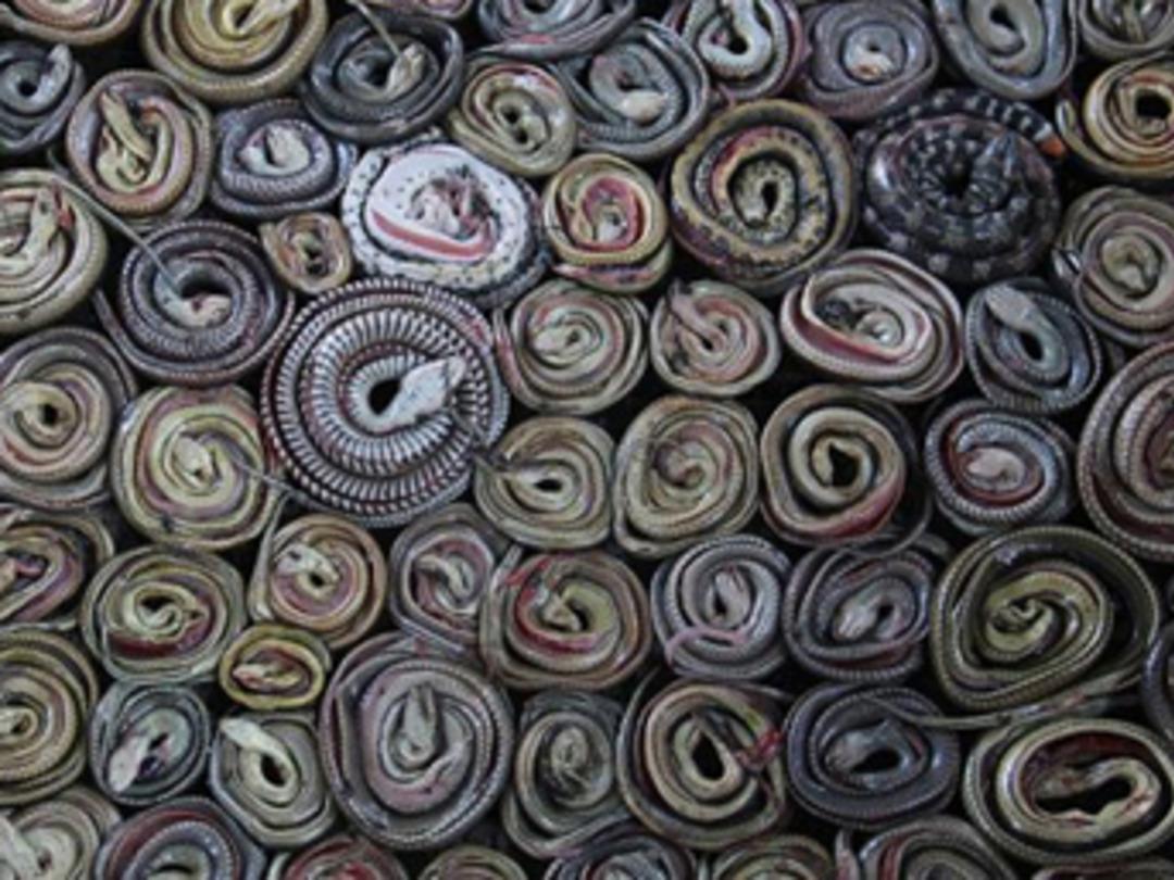 Milyon dolarlık &ccedil;antalar b&ouml;yle yapılıyor