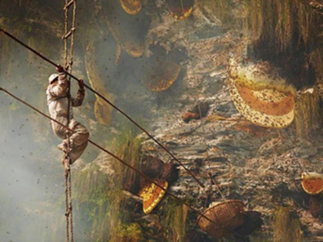 D&uuml;nyanın en zor mesleği