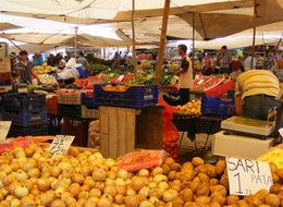 Zam şampiyonları belli oldu