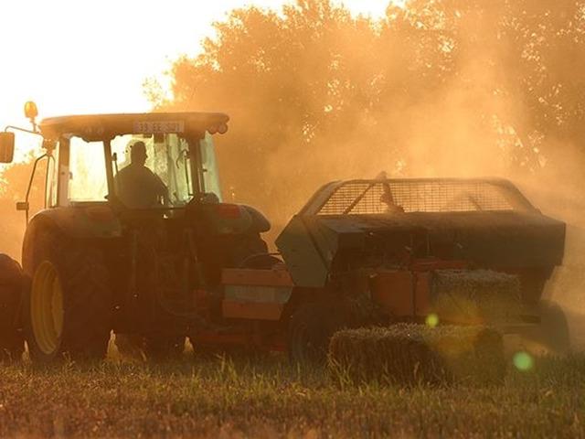 O illerde g&ouml;revlendirilecek! Tarım ve Kırsal Kalkınmayı Destekleme Kurumu 42 uzman alacak