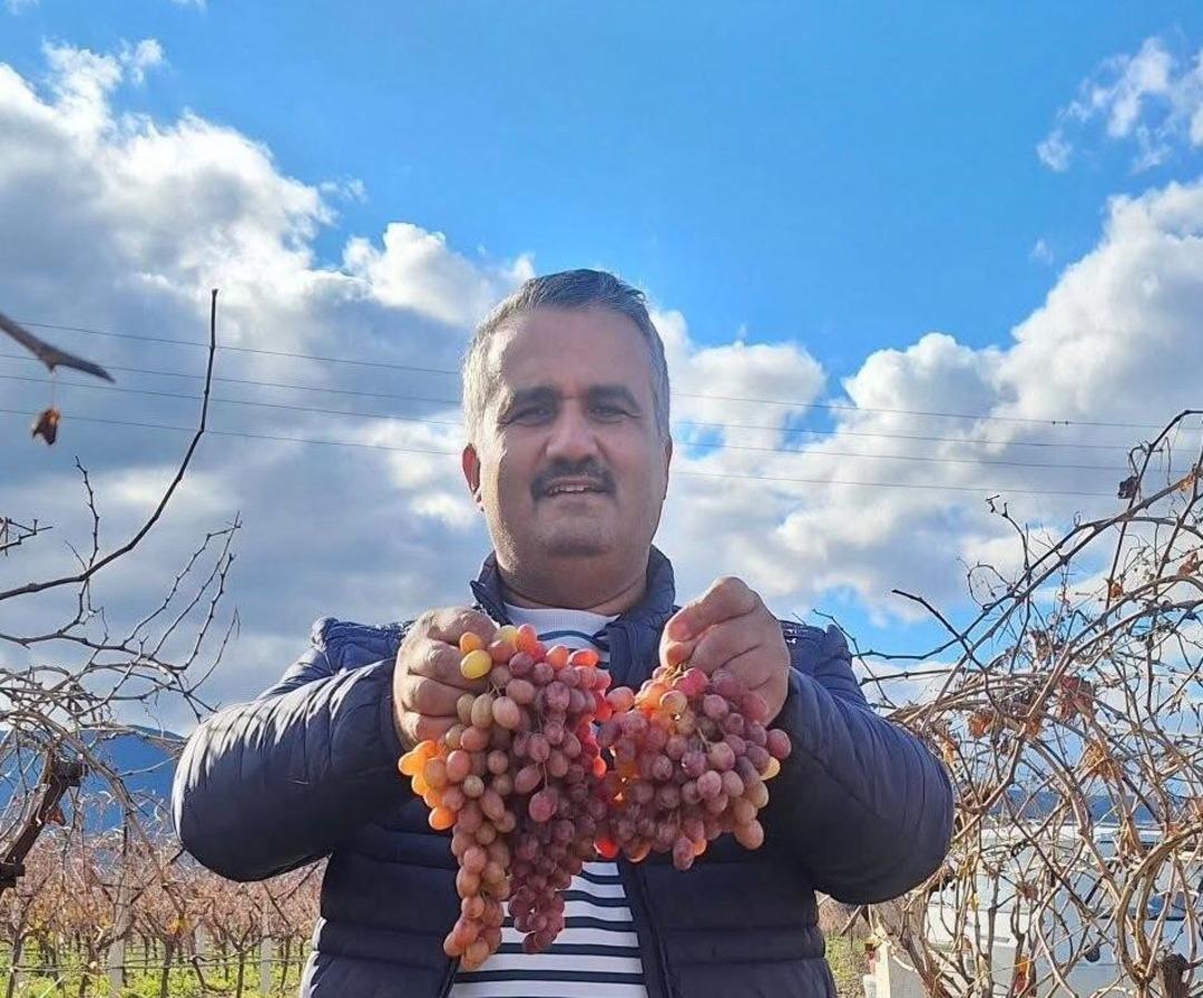 Kazancı &ccedil;ok y&uuml;ksek: Soğuğa meydan okuyan meyve! 20 yıl &ouml;nce başladı  1