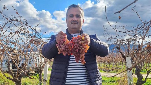 Kazancı çok yüksek: Soğuğa meydan okuyan meyve! 20 yıl önce başladı 