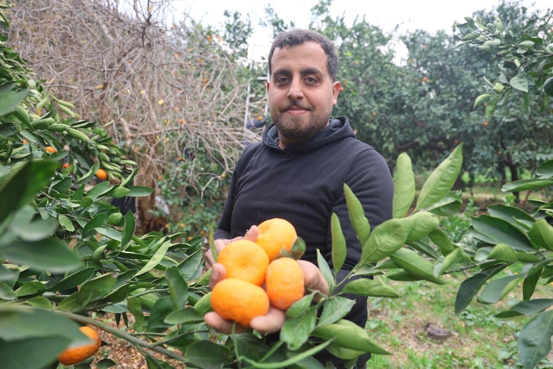 Tarla fiyatı 2 TL ye geriledi market fiyatı 35 katına &ccedil;ıktı! &Uuml;retici tepki g&ouml;steriyor 3